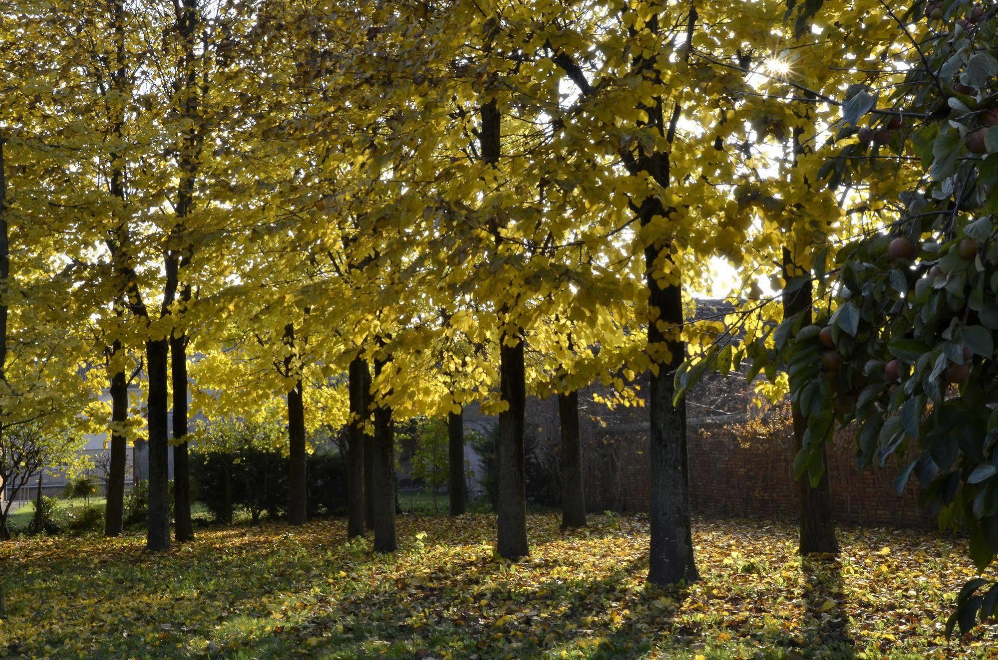 9 Muse Bed And Breakfast Canneto sull'Oglio Exterior photo